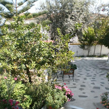 Agia Marina  Sunrise Flora 아파트 외부 사진