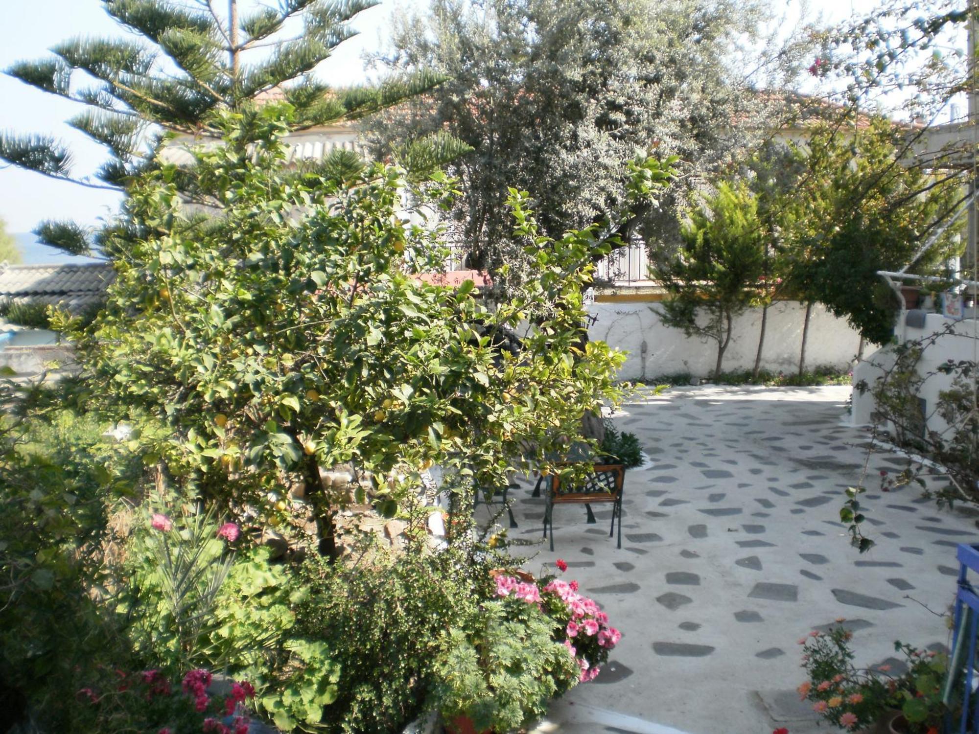 Agia Marina  Sunrise Flora 아파트 외부 사진