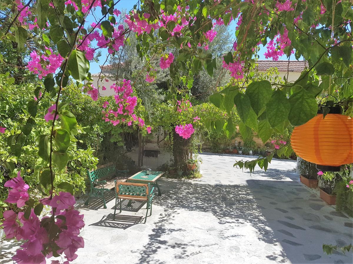 Agia Marina  Sunrise Flora 아파트 외부 사진
